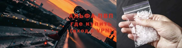 трава Балахна