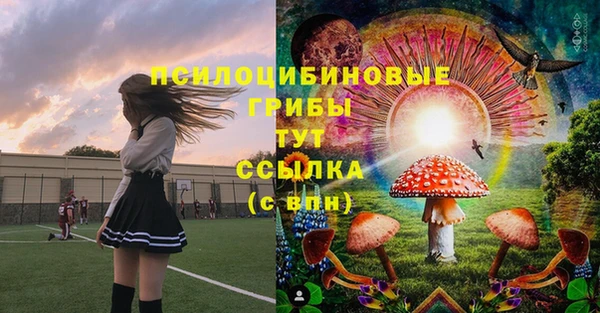 ГАЛЛЮЦИНОГЕННЫЕ ГРИБЫ Баксан
