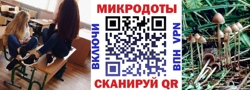 Галлюциногенные грибы GOLDEN TEACHER Видное