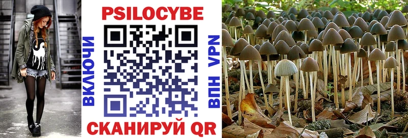 наркотики  Видное  Галлюциногенные грибы прущие грибы 